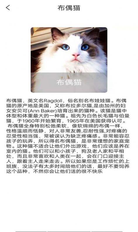优宠快报截图