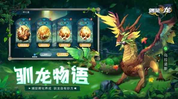 遇见龙之地城冒险截图