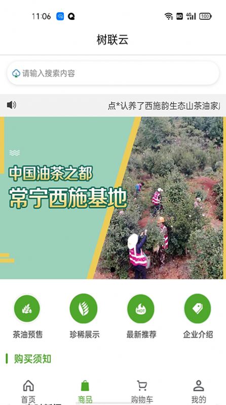 树联云网截图