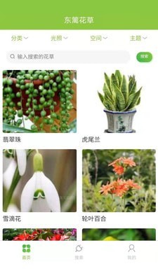 东篱花草截图