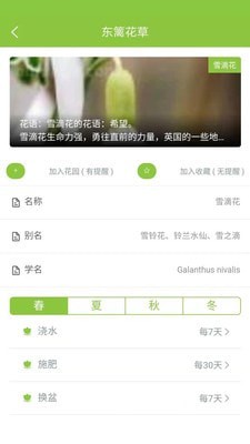 东篱花草截图