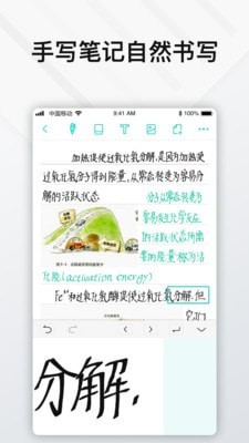 Elfinbook易飞截图