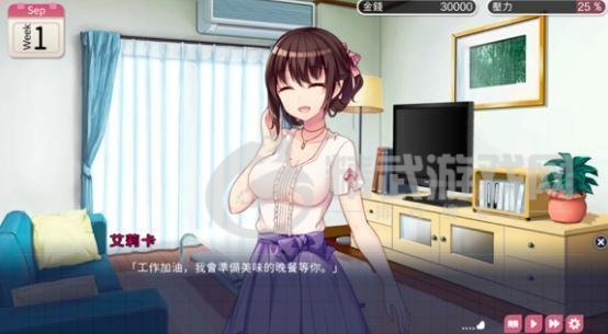 魅魔新妻
