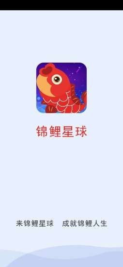 锦鲤星球截图