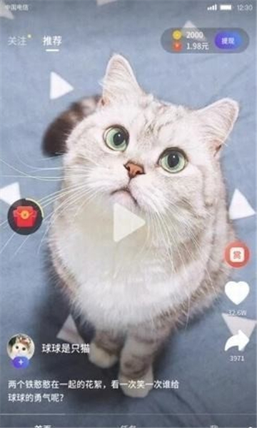 油条视频截图