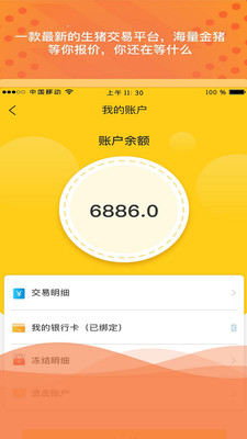 金猪岛截图