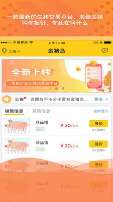 金猪岛截图
