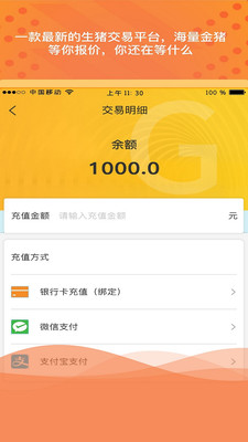 金猪岛截图