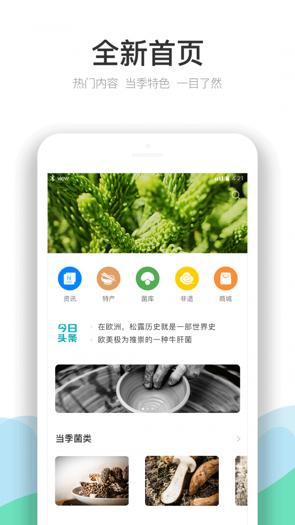 云南季截图