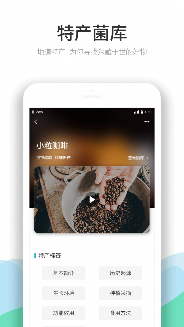 云南季截图