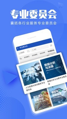 信息技术咨询服务截图