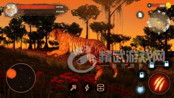 百兽之王