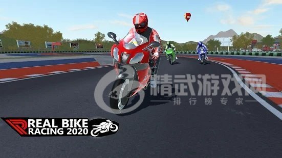 真实停车2021