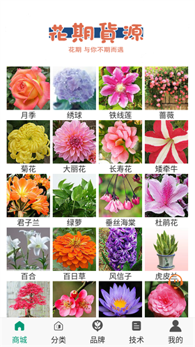 花期货源截图