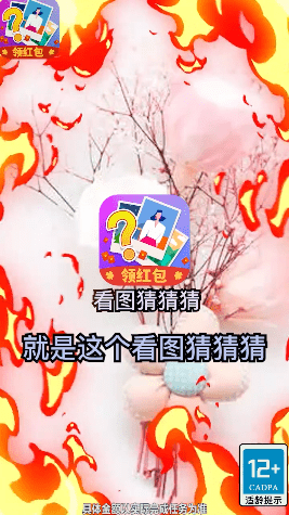 看图猜猜猜截图