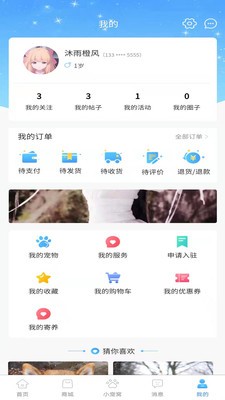 帕皮截图
