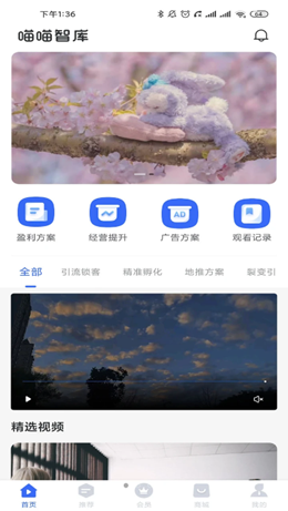 喵喵智库截图