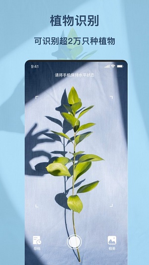 识物王截图