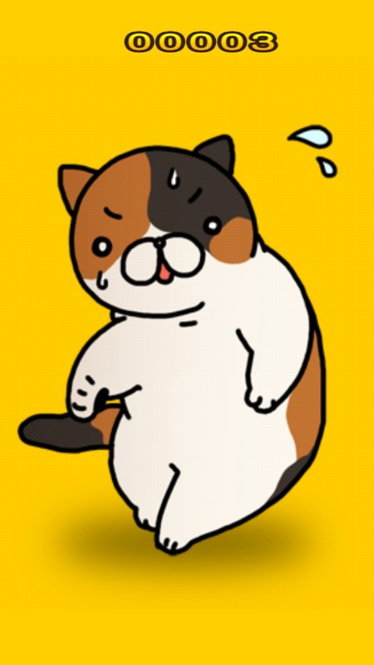 受惊的猫