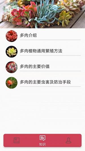 多肉花草日记截图
