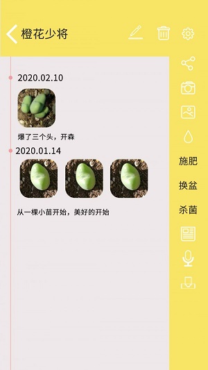 多肉花草日记截图
