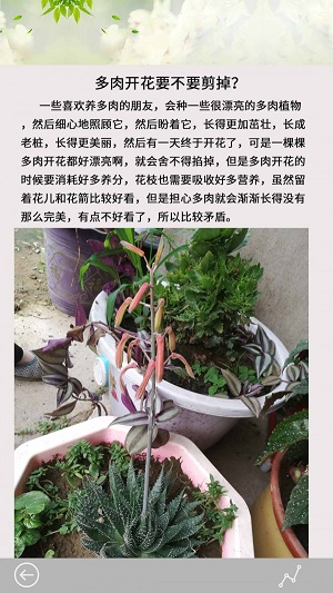 多肉花草日记截图