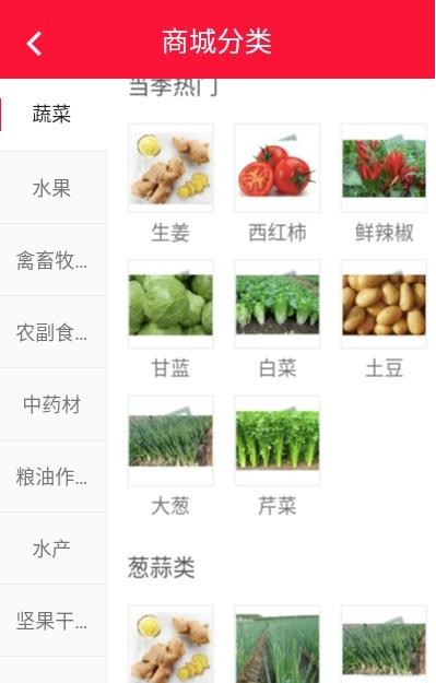 美山村截图