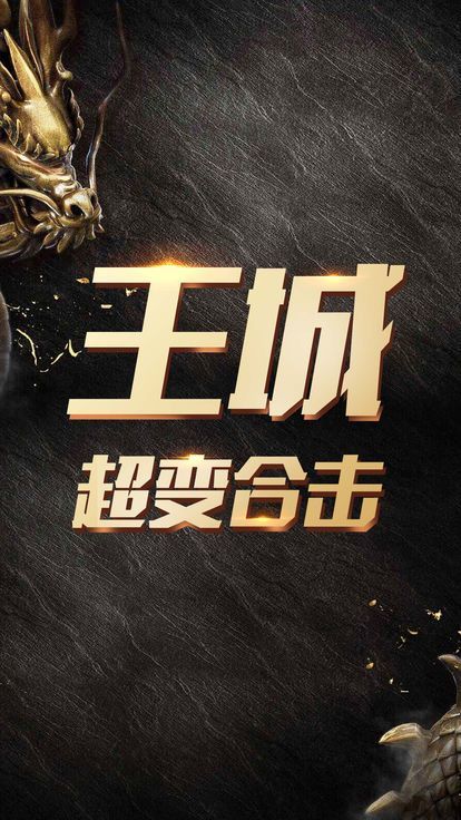 王城合击截图