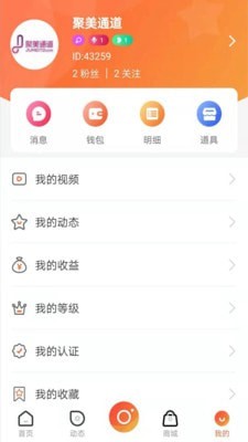 聚美通道截图