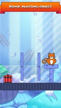 猫猫你好截图