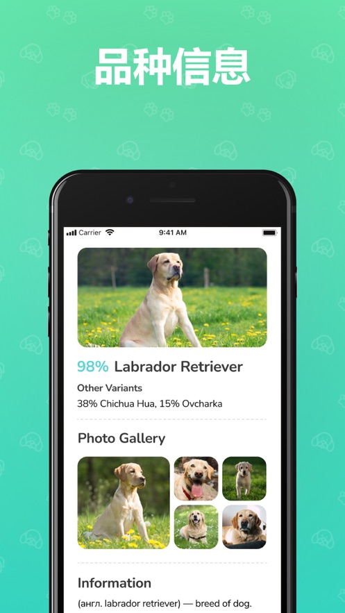 狗狗犬种识别截图