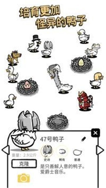 蛋里是什么鸭截图