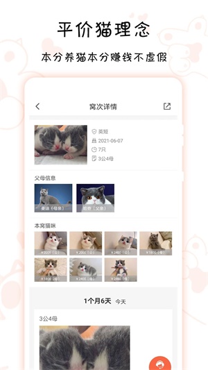 家连猫舍截图