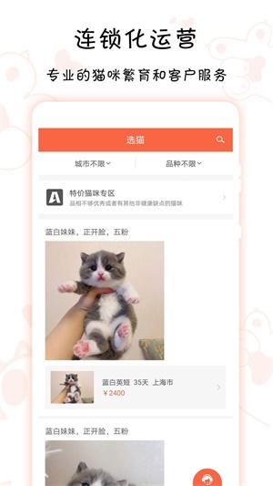 家连猫舍截图