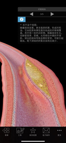 生理和病理学截图