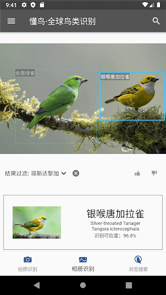 懂鸟全球截图