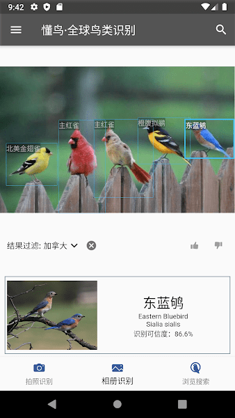 懂鸟全球截图