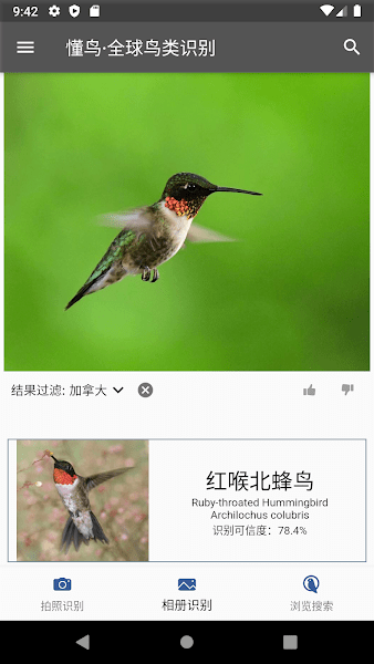 懂鸟全球截图