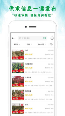 苗来苗往截图