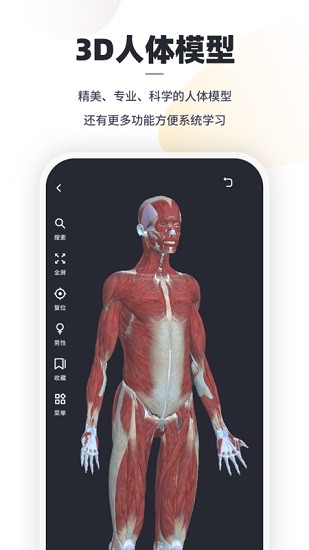 口袋人体解剖截图