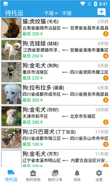 宠物运输截图