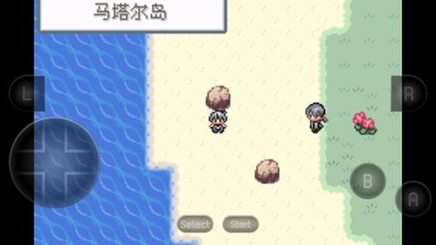 口袋妖怪无名游戏截图