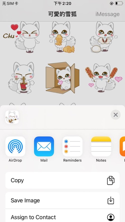 可愛的雪狐截图