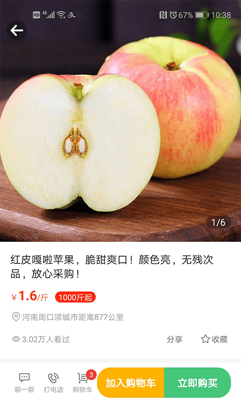 桃源明截图