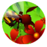 蜜蜂进化3D游戏
