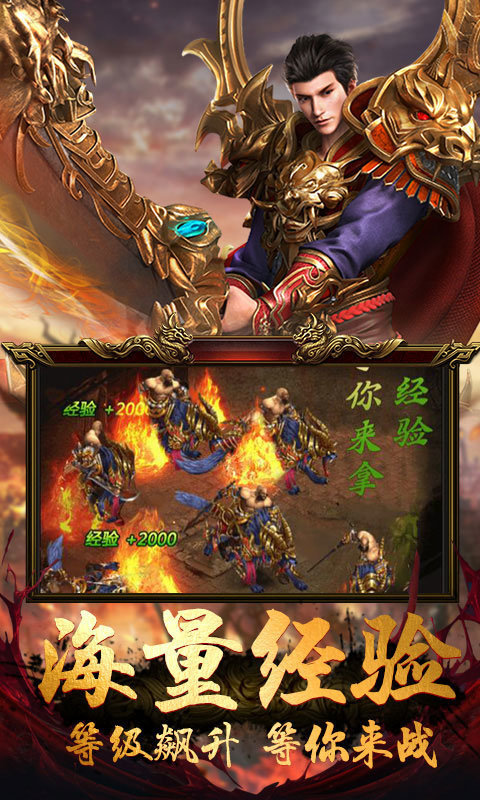 飞扬专属传奇截图
