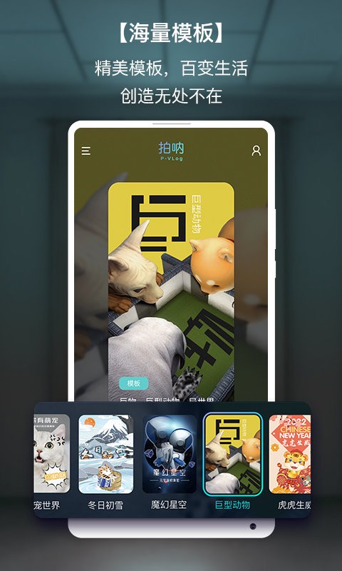 拍呐截图