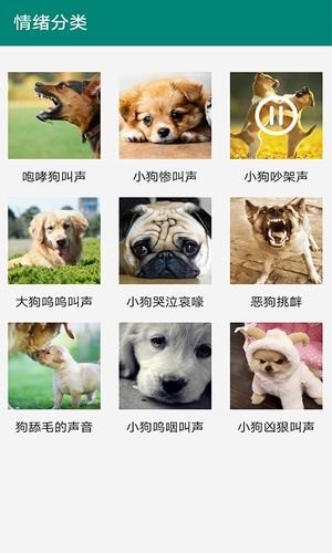 汪汪狗语翻译截图