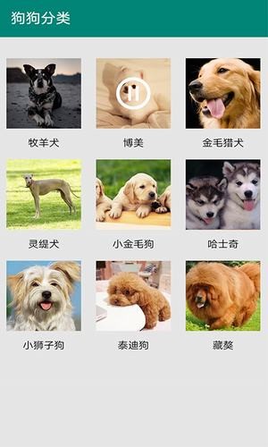 汪汪狗语翻译截图