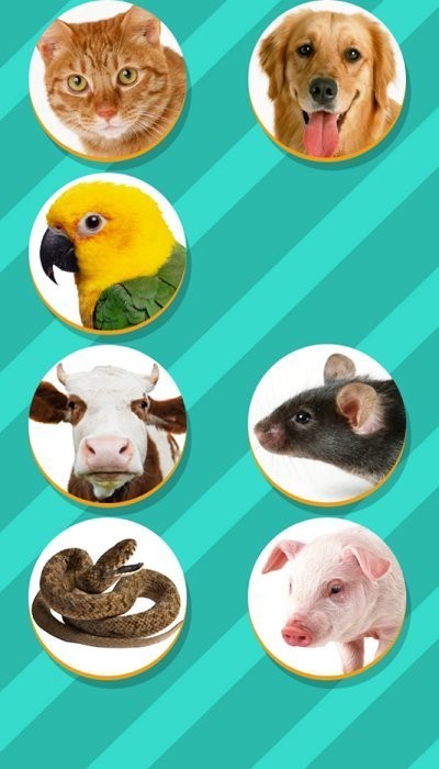 pet translator截图